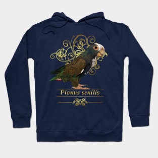 senile parrot Hoodie